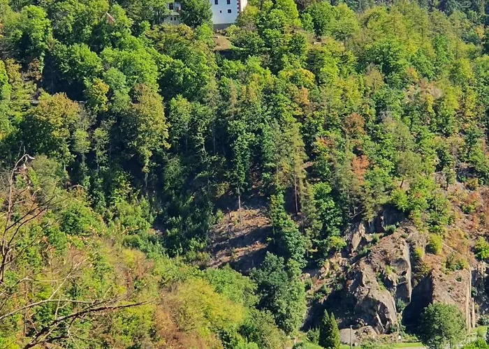 Gemütliches Glück Mit Gartensauna - Ideal Für Familien&paare